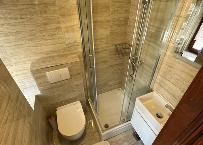 皇家古董公寓 公寓 *